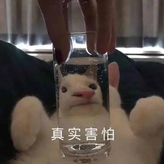 夏季10强面霜来咯快来看看你用过几款 夏季10强面霜来咯快来看看你用过几款