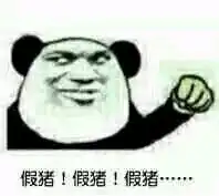 套路表情包一套猪表情包