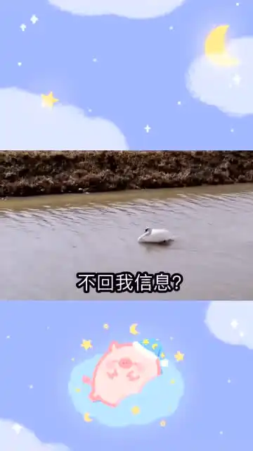  撩妹表情包来了