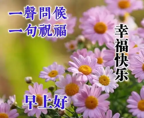  8张最新漂亮夏日风景早上好图片带祝福语好看的早安问候祝福语图片带字温馨