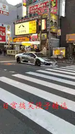  搞笑gif精选哈士奇跟我一起学狗叫,一起汪,汪,汪汪,汪妹子