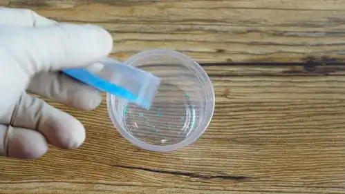  魔力科学小实验,公鸡下蛋铁树开花哑巴说话,你见过哪些