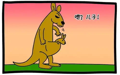  恶搞漫画可怜的袋鼠妈妈