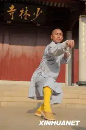  铁头功五祖拳武僧一展神奇少林功