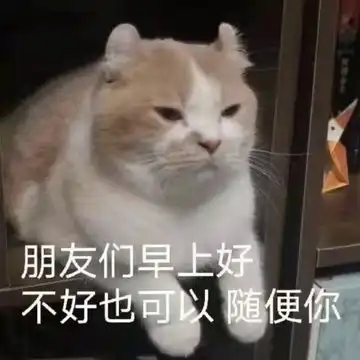 哈哈喵开黑的表情包猥琐