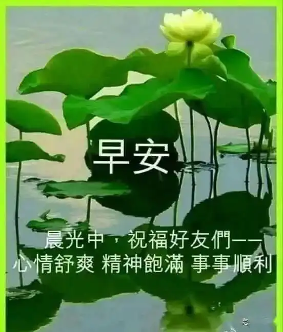  在孤独的时候,给自己安慰在寂寞的时候,给自己温暖,早安
