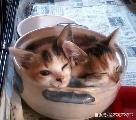  搞笑图片幽默段子笑话老哥,你这样发传单太拼命了吧