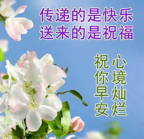  漂亮的早上好风景图片,微信最新正能量早安问候语