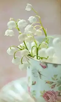  晚安文字181005往事随风,今又从容