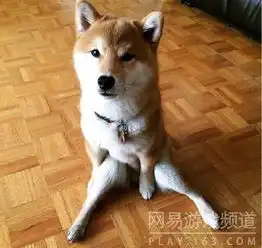  本周囧雷傻缺无聊图560
