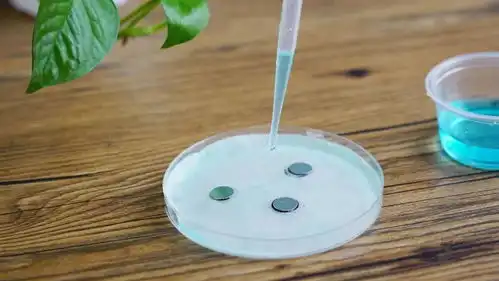  魔力科学小实验,公鸡下蛋铁树开花哑巴说话,你见过哪些