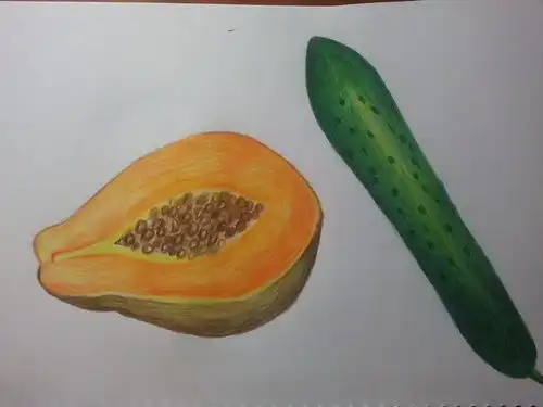  初学彩铅临摹组长的书从水果开始