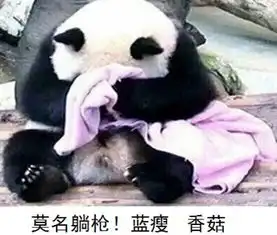  扫黑除恶,宣威运政在行动