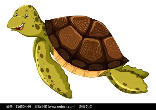  海龟卡通高清png免抠元素素材世界海龟日图片5月图片第15张红动中国