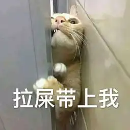  搞笑表情包图片带字