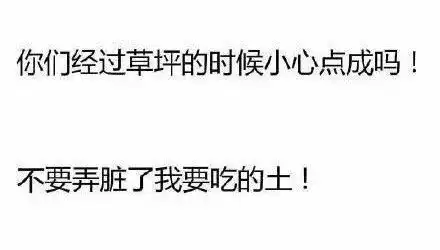  你们经过草坪小心点行吗不要踩脏了我的土
