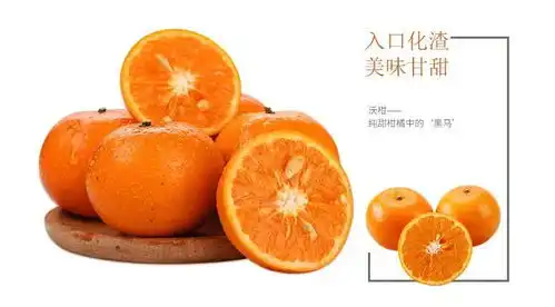  柑橘中的这匹黑马,又去永胜搞事情了