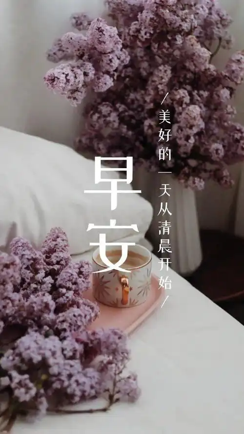  早安12月20日朋友圈正能量句子