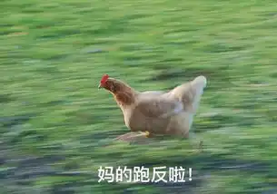 雨表情包鸡年