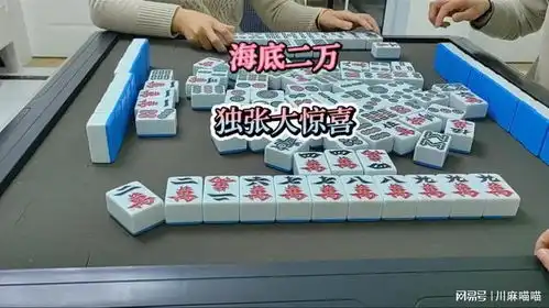  麻将海底二万,独张大惊喜