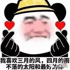  和阴雨天say拜拜,趁着这个周末赶紧去赏花吧