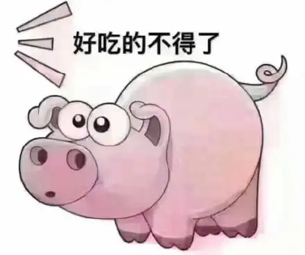  猪猪套路表情包