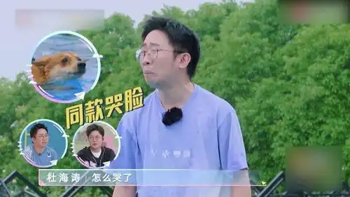  杨迪带小黄狗游泳,刚一进水就吓出委屈脸,网友这眼神都能当影帝了
