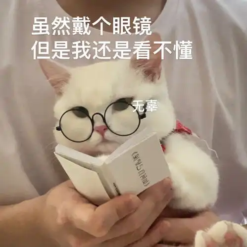  小喵咪学习的样子是不是和你一样