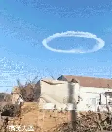  搞笑gif趣图你就是传说中的李十针吧