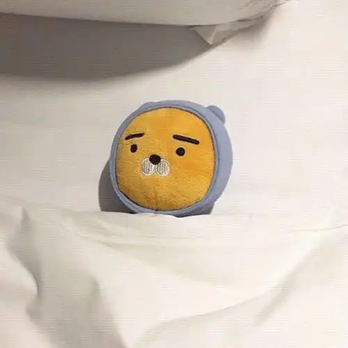  新找了一组不错的微信头像