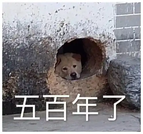 开心段子,笑一天第85期  开心段子,笑一天第85期