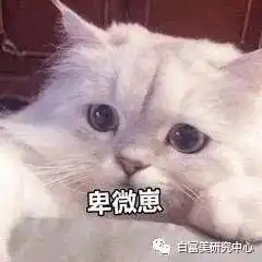  赞助baby婚礼和多位男星关系亲密,纯天然白富美的她背景成谜