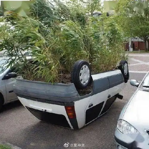  妈妈为了省钱,什么话都说得出搞笑囧图