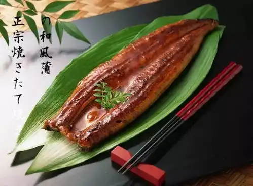  刺身巅峰,从捞鱼到上桌不超过18分钟蓝鳍金枪鱼刺身免费送