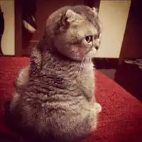 男生女生搞怪头像一对微信头像图片大全  男生女生搞怪头像一对微信头像图片大全