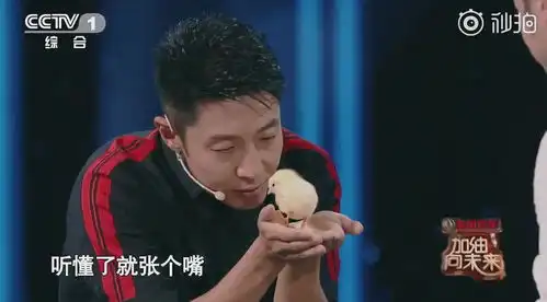  撒贝宁和郭德纲一起做节目的话应该会很好玩吧...