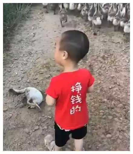 爸妈都要出差,把孩子给乡下奶奶带,奶奶发过来的照片,好可爱小鸭子小鸡张成网易订阅  爸妈都要出差,把孩子给乡下奶奶带,奶奶发过来的照片,好可爱小鸭子小鸡张成网易订阅