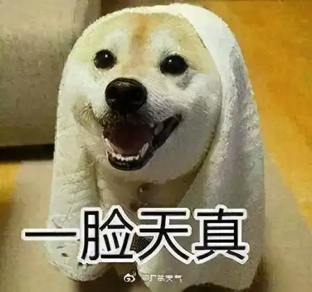  温度记夏天要回来了别急雨水降温已在赶来的路上
