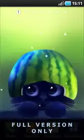 萌猫动态壁纸yinthecat  萌猫动态壁纸yinthecat