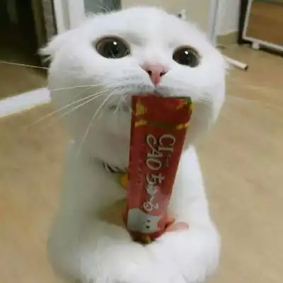 搞笑图片带字幽默微信猫
