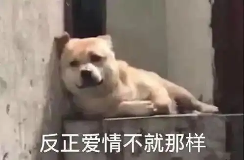  表情包沙雕表情包第285期