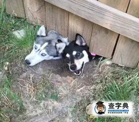  我卡住了搞笑图片
