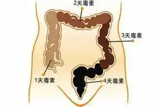  经常在吃的土豆,没想到这样用,还能治烫伤溃疡