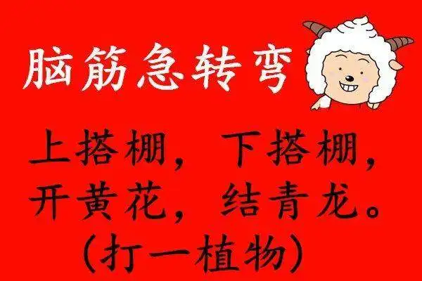 搞笑图片集锦带字幽默段