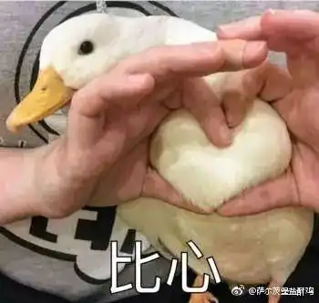  明天怎么办深大快讯