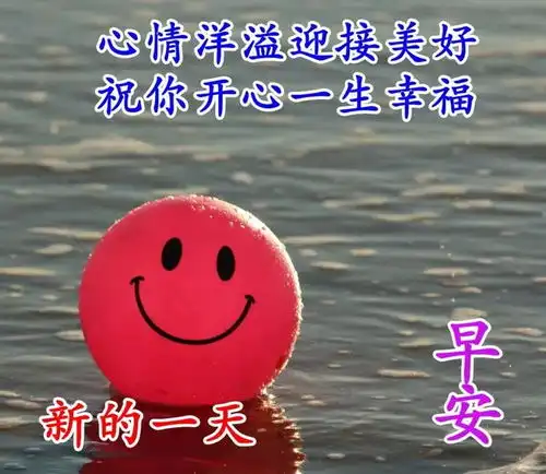 清晨问候表情图