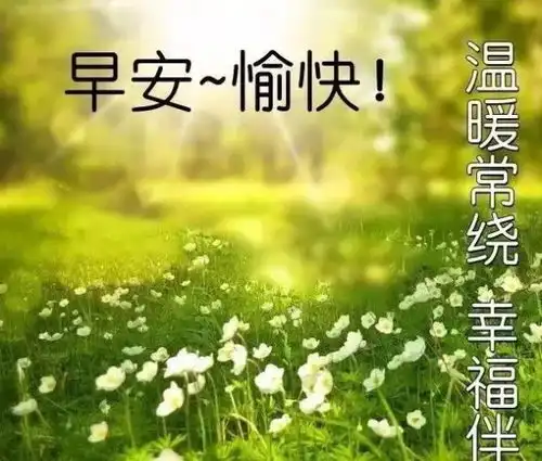 清晨问候图片搞笑动漫