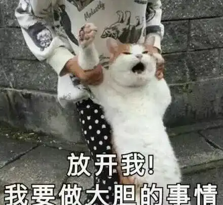  千万不要随便给爸妈发表情包我妈现在觉得我是gay