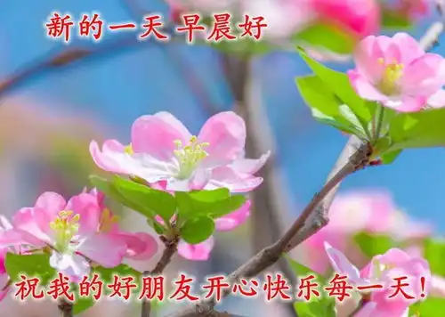 日常超赞的早安问候祝福图片,愿你平平安安始于清晨