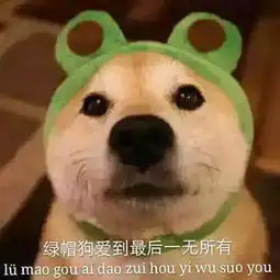  搞笑表情微信斗图必备搞笑图